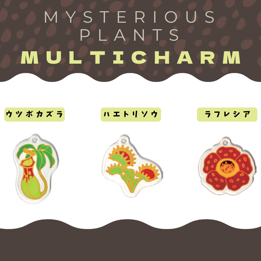 不思議な植物 | 智光法人向けオンラインショップ（水族館、植物園等